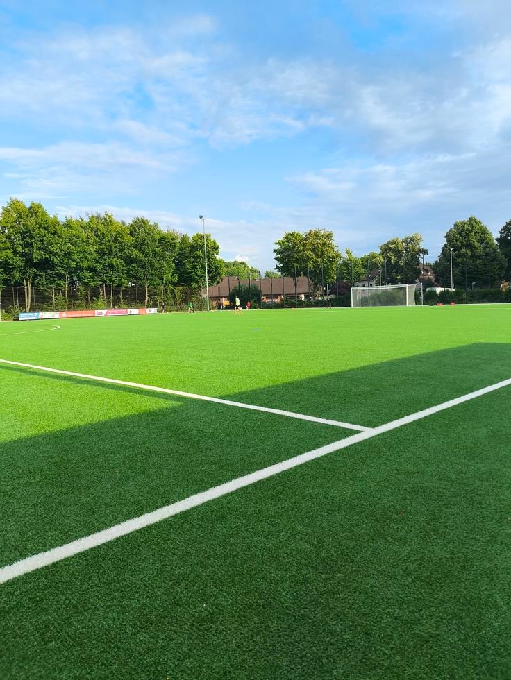 تركيب عشب ملاعب المدينة 