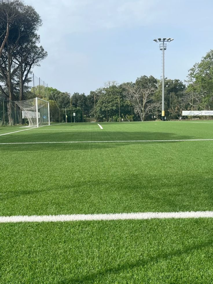 تركيب عشب ملاعب المدينة 