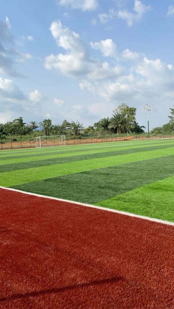 تركيب عشب ملاعب المدينة 