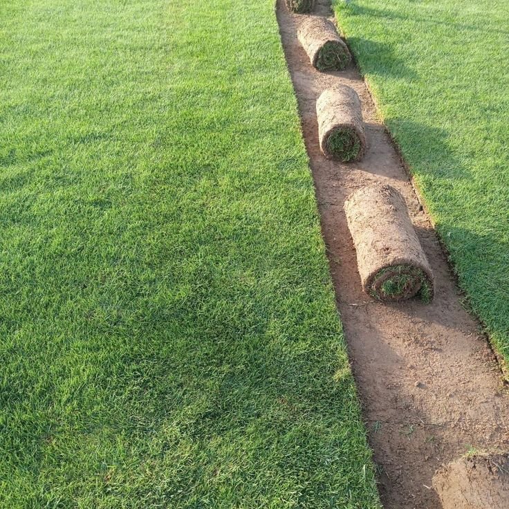 معرض تنسيق أحواش