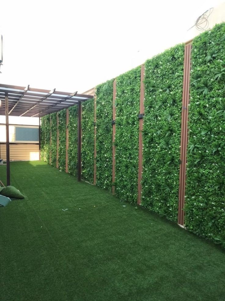 عشب حدائق خارجية المدينة