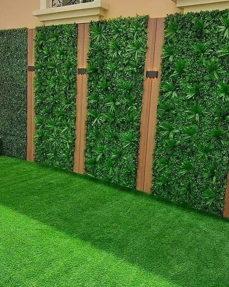 عشب حدائق خارجية المدينة