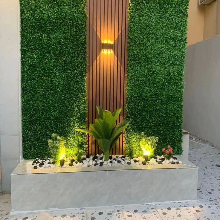 زراعة أشجار الزينة في المنزل