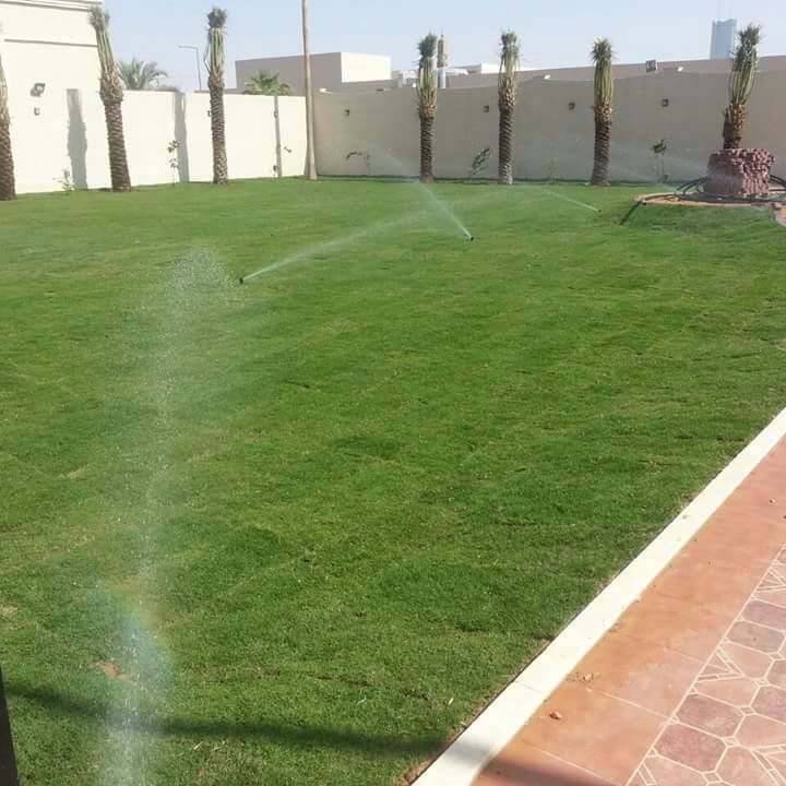 تركيب شبكات ري الحدائق في المدينة المنورة